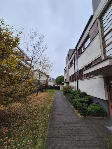 Rewitor Biegły rewident